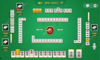 贵州麻将直播爆料视频播放,火爆视频背后的精彩瞬间  第2张