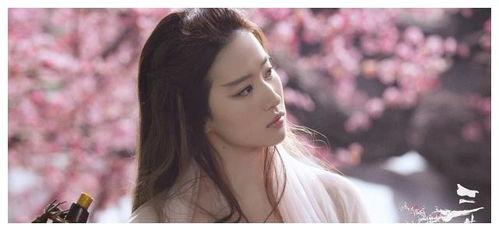 杨洋刘亦菲最新爆料消息,揭秘幕后故事与精彩瞬间  第1张